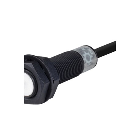 PRA12-2AO Sensor inductivo teflón M12 Sn 2mm Rasante 2 hilos 100-240VCA NA IP67